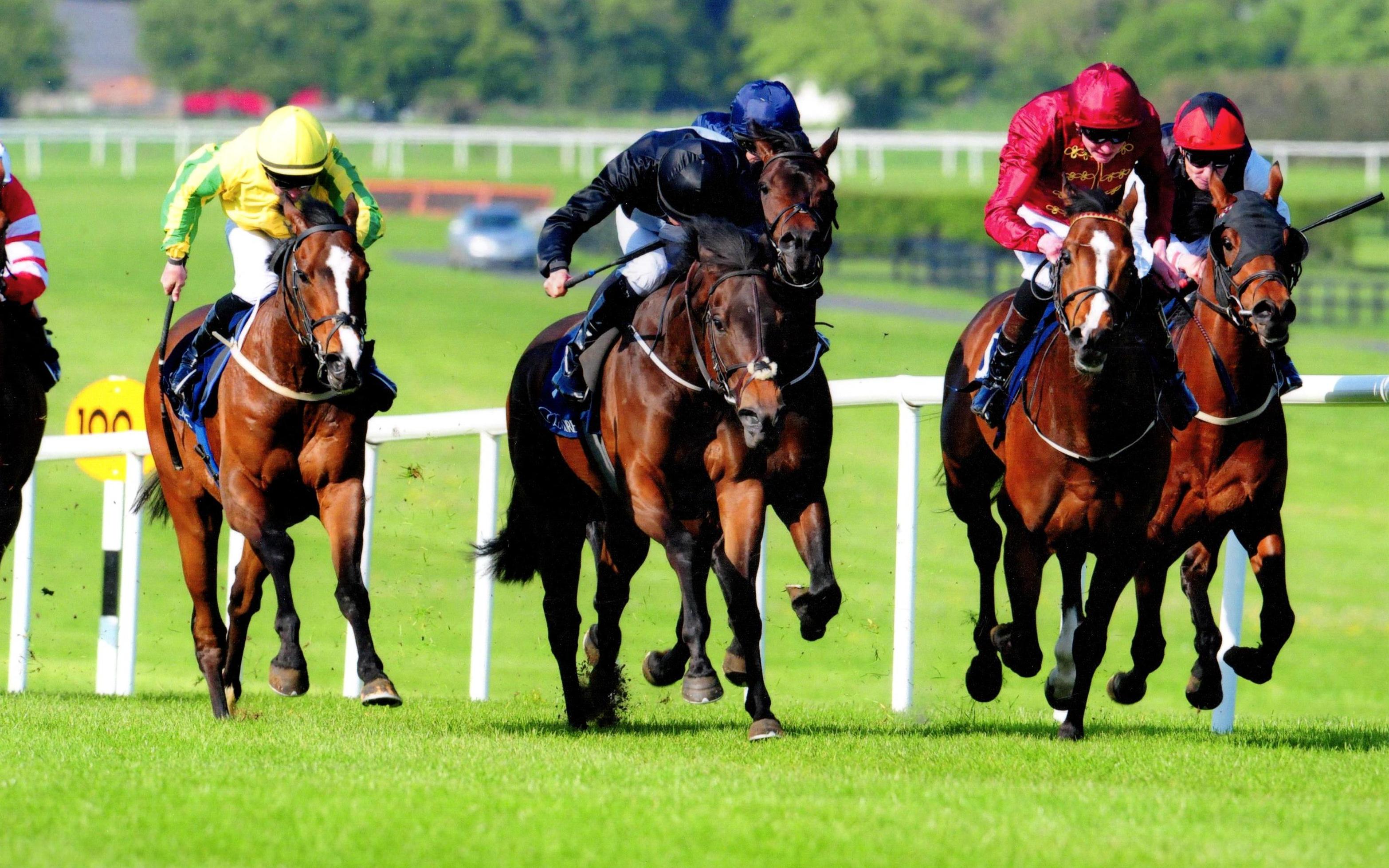 DOCTOR GEOFF kicks off his 2017 campaign with listed success at Naas 1st May 2017